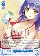 夏の風物詩 来海 【OS01/R01-083R】