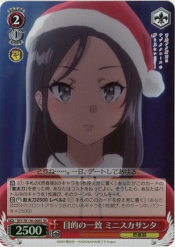 目的の一致 ミニスカサンタ(ホイル) 【SBY/W136-068SR】