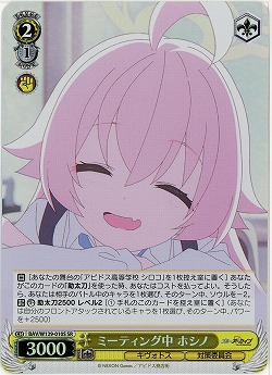 ミーティング中 ホシノ(ホイル) 【BAV/W129-010SR】