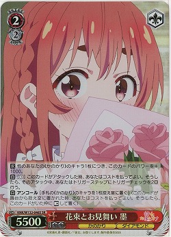 花束とお見舞い 墨(ホイル) 【KNK/W132-046SR】