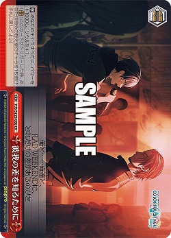 彼我の差を知るために 【PJS/S125-086CR】