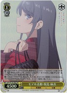 モデル活動 桜島 麻衣(ホイル) 【SBY/W136-006SR】