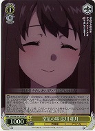 空気の味 広川 卯月(ホイル) 【SBY/W136-017SR】