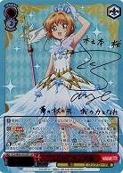 【キズ有り特価B】"CLEAR"木之本桜(SSP) 【CCS-W66-055SSPSSP】