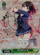 【キズ有り特価B】 揺れ動く心 恵(SP) 【SHS-W71-035SPSP】