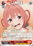 猫大好き 夕奈 【AMG/W121-052R】