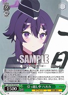 引っ越し中 ハルカ 【BAV/W129-033C】