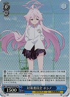 対策委員会 ホシノ(ホイル) 【BAV/W129-073SR】