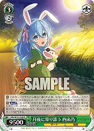 月夜に寄り添う 四糸乃 【DAL/W131-020R】