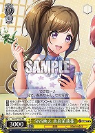 SNS映え 水島茉莉花 【DJ/S97/002RR】