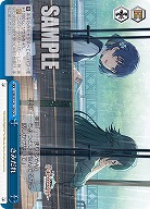 さみだれ 【GIM/W124-100CR】