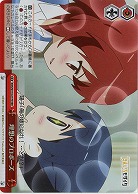 理想のプロポーズ 【KMS/W133-077RRR】