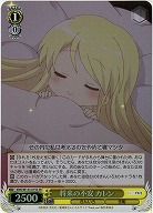 将来の不安 カレン 【KMS/W133-015SR】