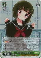 外国への憧れ 忍 【KMS/W133-040SR】