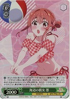 海辺の彼女 墨(ホイル) 【KNK/W132-021SR】