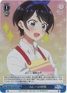 カレーの材料(ホイル) 【KNK/W132-095SR】