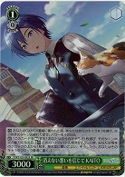 消えない想いを信じて KAITO(ホイル) 【PJS/S125-052SR】