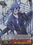 こだわりじゃない? KAITO(ホイル) 【PJS/S125-069SR】