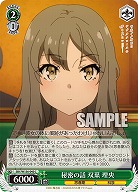 秘密の話 双葉 理央 【SBY/W136-040C】