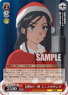 目的の一致 ミニスカサンタ 【SBY/W136-068C】