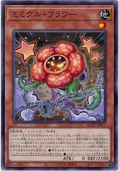 ミミグル・フラワー 【BLZD-JP017】