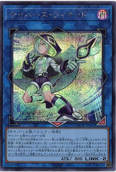 サイバース・ウィキッド(SE) 【LOCH-JP063SE】