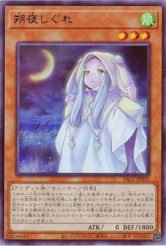 朔夜しぐれ【PAC1-JP035UR】