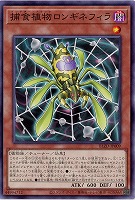 捕食植物ロンギネフィラ 【BLZD-JP009】