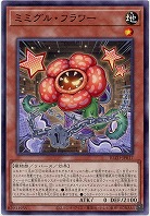 ミミグル・フラワー 【BLZD-JP017】