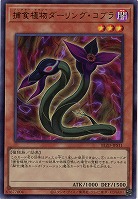 捕食植物ダーリング・コブラ 【BLZD-JPS11UR】