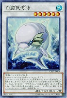 白闘気海豚 【CP17-JP019SR】