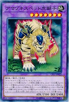 アマゾネスペット虎獅子 【CP17-JP022】