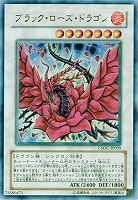【キズ有り特価 A】ブラック・ローズ・ドラゴン【CSOC-JP039UR】