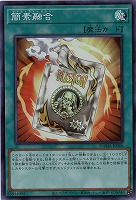 簡素融合 【DAMA-JP066SR】