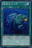 【キズ有り特価 A】強欲なウツボ【DE04-JP076SR】