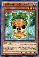森羅の蜜柑子 シトラ  【EP14-JP022】