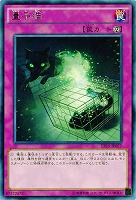 量子猫 【EP15-JP077R】