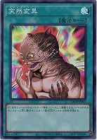 突然変異 【LOCH-JP067SR】