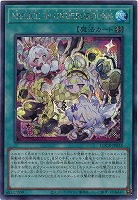 M∀LICE IN UNDERGROUND(SE) 【LOCR-JP038SE】