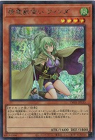 【キズ有り特価 A】精霊獣使い ウィンダ(SEP)【TW01-JP135SEP】