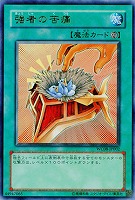 【キズ有り特価 A】強者の苦痛【WC08-JP002UR】