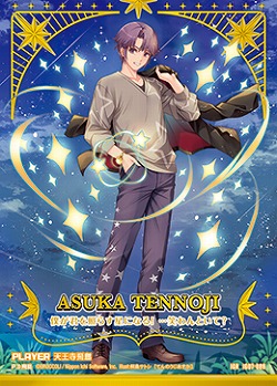 ※秋葉原店併用商品　天王寺飛鳥(IGR) 【IG07-089IGR】