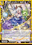 運命に立ち向かう 姫君と竜 【IG02-005N】