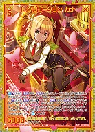 ※秋葉原店併用商品 レゾリューション カナ(SEC) 【IG05-076SEC】