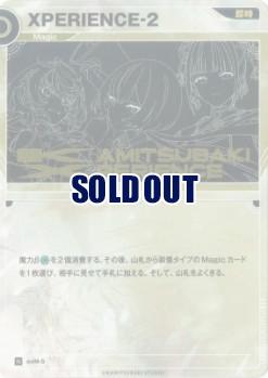 【キズ有り特価B】XPERIENCE-2【KT/exM/5N】