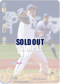 ※秋葉原店併用商品 濱口　遥大(SP)【BP03/DB03SP】