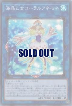 海晶乙女コーラルアネモネ 【LVDS-JPB06SR】