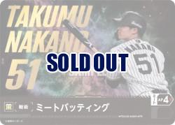 ※秋葉原店併用商品 ミートバッティング(阪神タイガース) 【PDO-02PR】