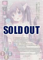 活発で強気なアメリカンショートヘア 舞羽 ナナ(KR) 【LO-6135KR】