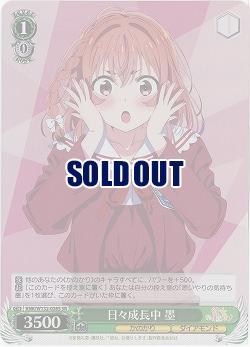 日々成長中 墨(ホイル) 【KNK/W132-026SR】